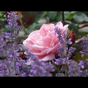 Meet your Posher, Mckenna